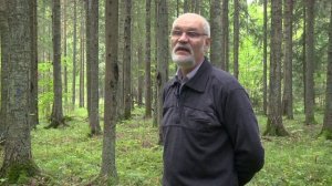 Андрес Кивисте - Как предсказать рост леса?