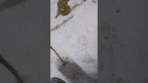 Инъекция бетонной плиты, трещины в бетоне!!!