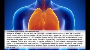 Очищение легких. Очищение легких народными средствами.