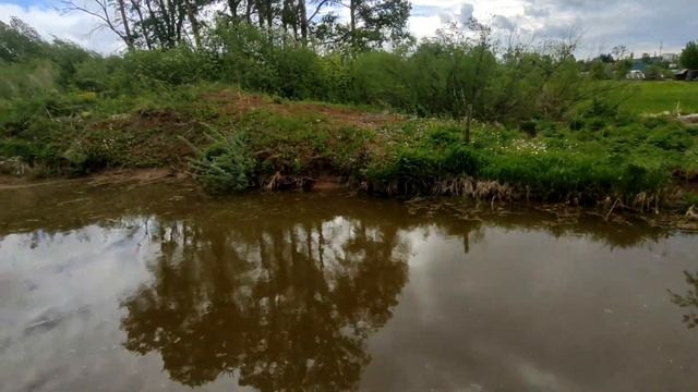 Выращивание рыбы в пруду. Запуск амура и толстолобика. Первый улов.