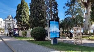 Абхазия, Сухум, середина января, ЗИМА 2024