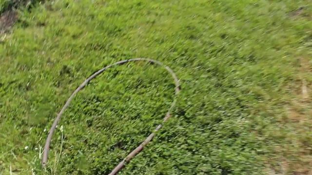 Canon Eos 600 D Video Test смотреть онлайн