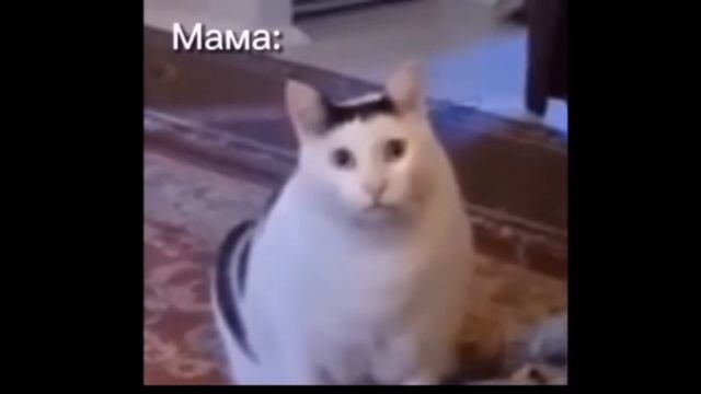 [😕]-отпрашиваюсь у мамы в 11 гулять-[😕] смотреть онлайн