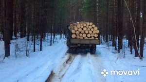 ПОЕЗДКА НА ГАЗ 66 по зимней лесной дороге