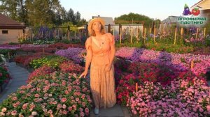 БОМБИЧЕСКИЕ ЦИННИИ ОТ "АГРОФИРМЫ ПАРТНЕР"