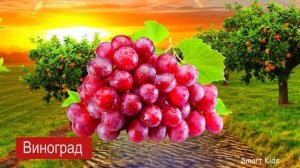 Фрукты и овощи для детей _Учим названия тропических фруктов .mp4