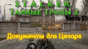S.T.A.L.K.E.R. Тайные Тропы 2. Часть 55: Документы для Цезаря.