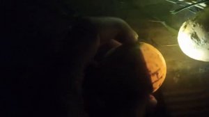 19 день инкубации под квочкой. Овоскоп яиц.