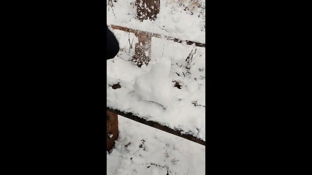 Мы такое осуждаем- мем смотреть онлайн