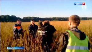 Пропавшую под Костромой 9-летнюю девочку нашли в 5 км от дома