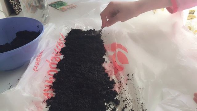 Сажаем лекарственную мелиссу