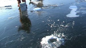 Первая рыбка на Пронском водохранилище