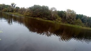 ОТВОДНОЙ ПОВОДОК КОСИТ ХИЩНИКА/Ловля окуня на спиннинг в середине осени 2022 года