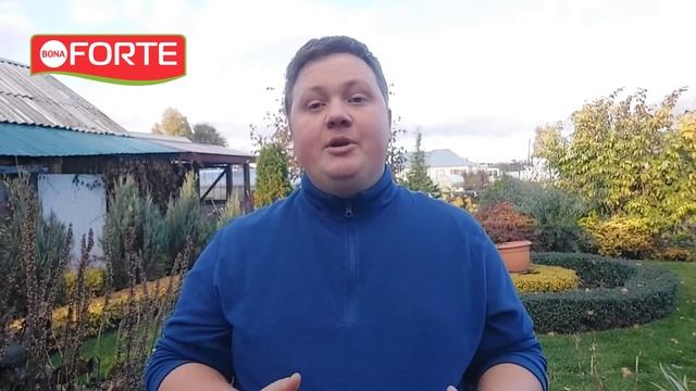 Что делать с газоном осенью - уход, стрижка и осенняя подкормка газона