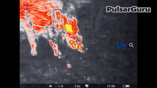 Pulsar Helion XP50 с снова в деле смотреть онлайн