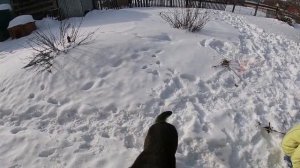 Лепим снеговика