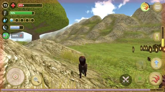 САМАЯ БОГАТАЯ БЕЛКА в СИМУЛЯТОР БЕЛКИ 2 ОНЛАЙН смотреть онлайн