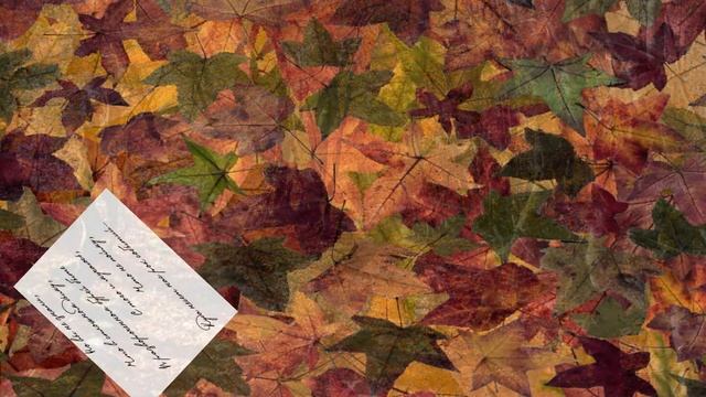 Поздние письма смотреть онлайн