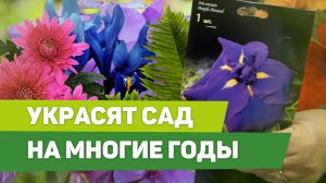 Модные растения для красоты. Выбираем саженцы многолетних цветов.