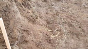 Размечаю границы участка. Соседи захватили часть нашего участка. И забор за 180 рублей.