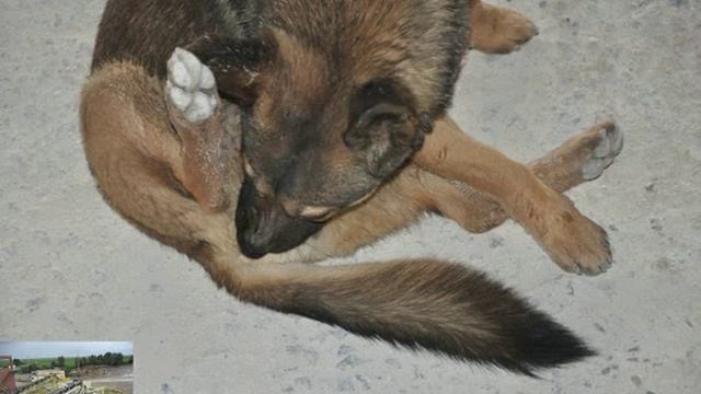 ИЗМЕЛЬЧИТЕЛЬ ОТХОДОВ ЦЕНА В С смотреть онлайн