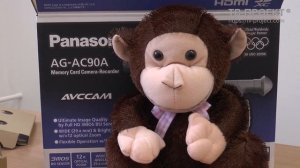 Видеокамера Panasonic AG-AC90EN