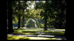 А надо, чтобы в каждом слове – Бог. Ирина Самарина-Лабиринт. Читает Максим Калужских.