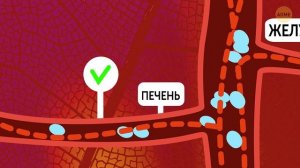 Сердце – самый мощный двигатель в мире