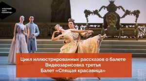 Цикл иллюстрированных рассказов о балете. Видеозарисовка третья - балет «Спящая красавица»
