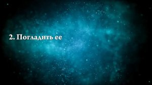 К чему снится серая кошка — Онлайн Сонник Эксперт