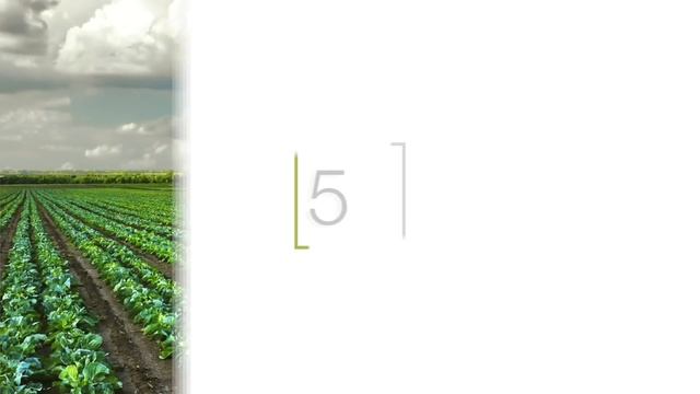 Топ-10 технологий, которые изменят сельское хозяйство.