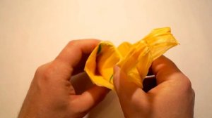 Как удобно хранить пакеты Самый лучший способ