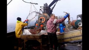 КРАБ 16. Рыбалка. Краб. Море. Работа в море. Норвегия. Краб стригун. Морской волк. Моряки