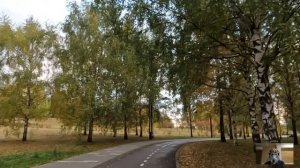 "Пап, там бабушка на лавочке плачет, давай ей дадим наш хлебушек"… А едва немая написала ему 3 слов