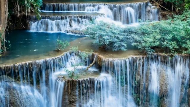 ♫ Лео Рохас Лучшее ♫ The Best Of Leo Rojas ♫
