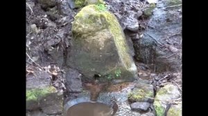 Tannahill's Well, Glen Park, Paisley