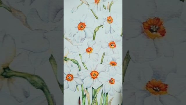 "НАРЦИССЫ". Первые этой весной. Акварельная картина 25*50. смотреть онлайн