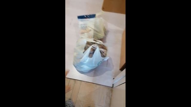 Как приготовить ПП Обед + покупка продуктов, вкусный и полезный обед с правильным соотношением КБЖУ смотреть онлайн