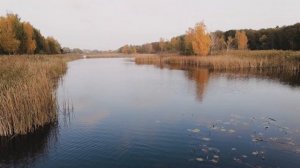 ароматизаторы которые рыба чувствует за километр! Какие запахи привлекают карпа осенью?