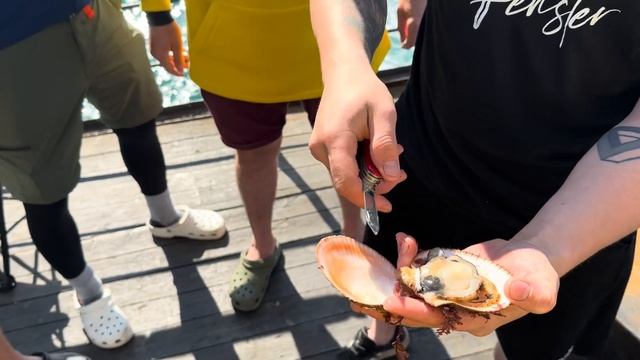 Как открывать и чистить гребешок смотреть онлайн