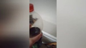 Как Рыгнуть быстро и смачно (первое видео)