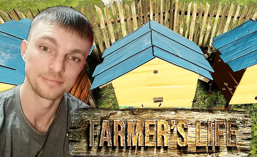 МЕД ДЛЯ МЕДОВУХИ # Farmer's Life # симулятор # 41