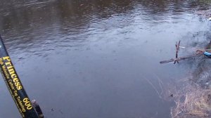 Вечерний клев чебака на поплавочную удочку.