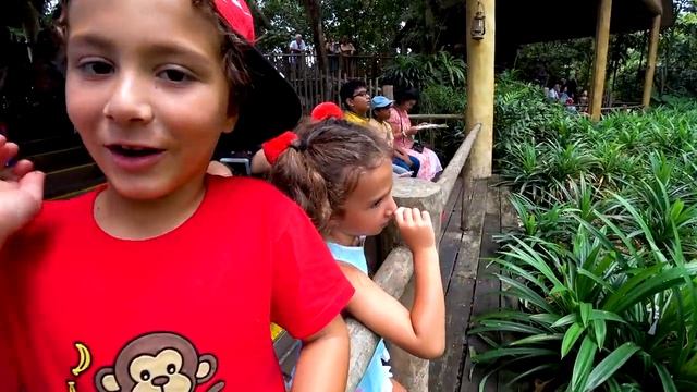 Самый КРУТОЙ ЗООПАРК в Сингапуре! Камиль и Аминка в ШОКЕ? Наш не ОБЫЧНЫЙ ДЕНЬ смотреть онлайн