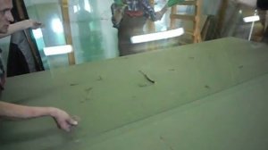 Резка стекла триплекс