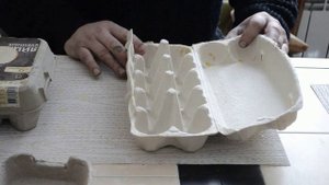 Как правильно упаковать и перевезти инкубационное яйцо на большие расстояния.