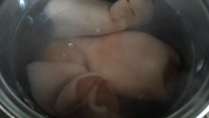 салат КАПИТАН. Как правильно почистить и отварить кальмары
