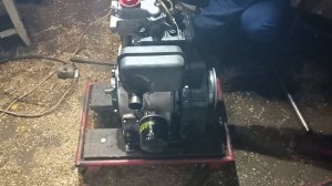 Пуск ДВС Lombardini 3DM515 после капитального ремонта (19.04.2023)