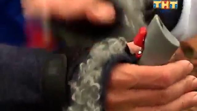 Скандинавская ходьба. Программа Тверичанка смотреть онлайн