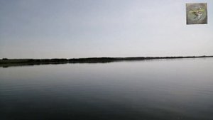 Открытие лодочного сезона 2020. Новомичуринское водохранилище.